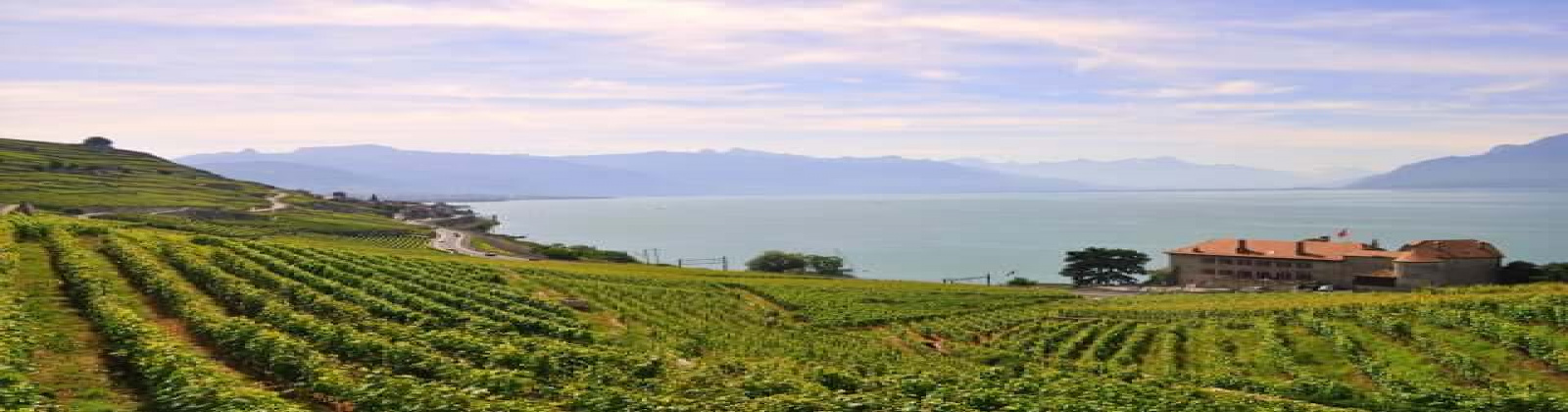 16 Rue de la gare, Courroux, 3 Chambres Chambres, ,1 Salle de bainsSalle de bain,Apartment,A vendre,Rue de la gare ,1002